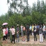 �Ͳ����ֻ���