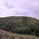 ��׶���ֻ���