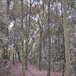 ��׶���ֻ���