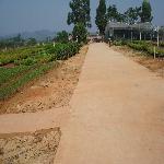 ��׶���ֻ���